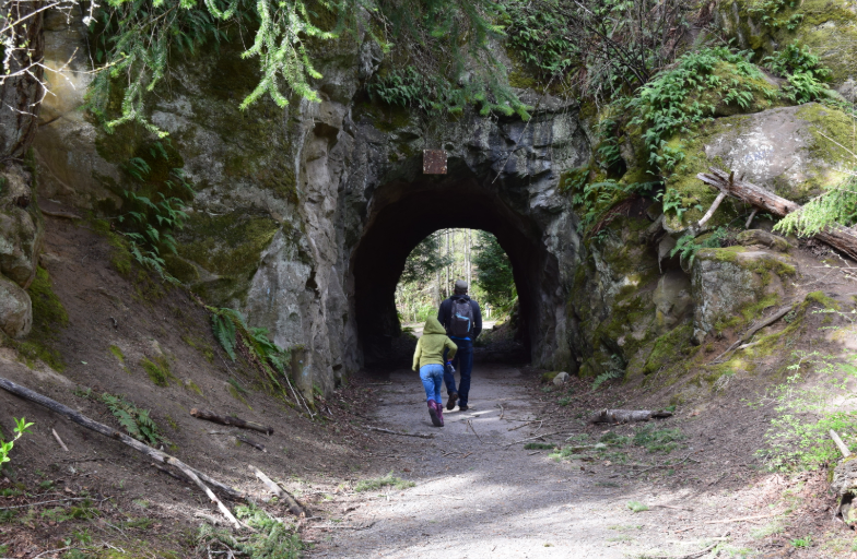 Sehome Hill Arboretum, United States